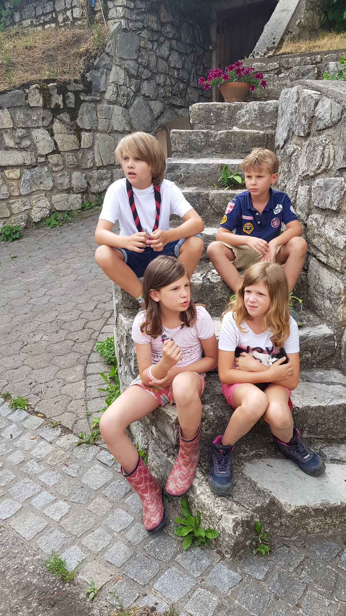 Wichtel und Wölflinge